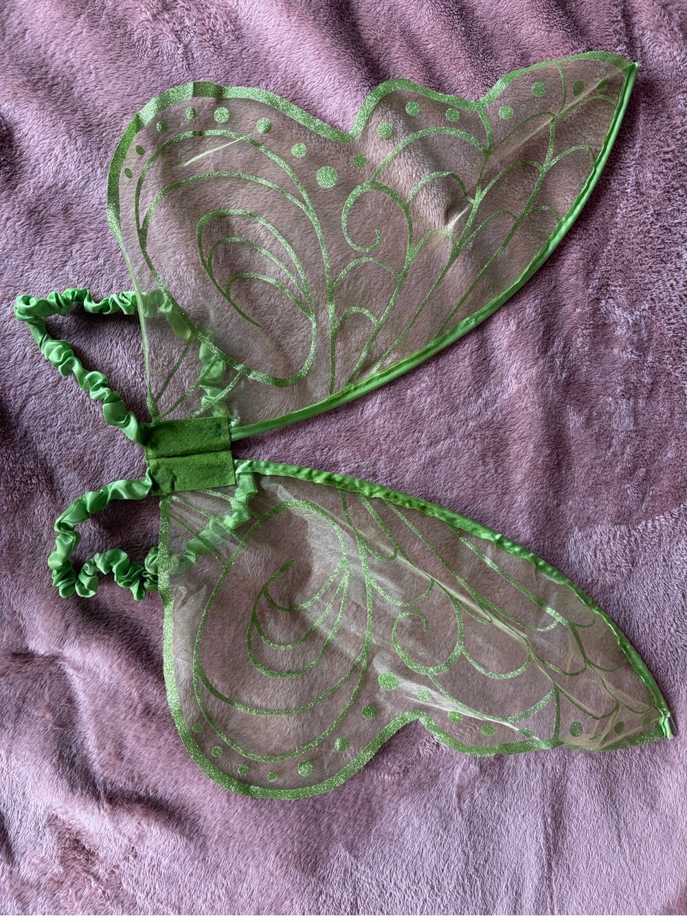 Green Fairy Wings Costume Accessory